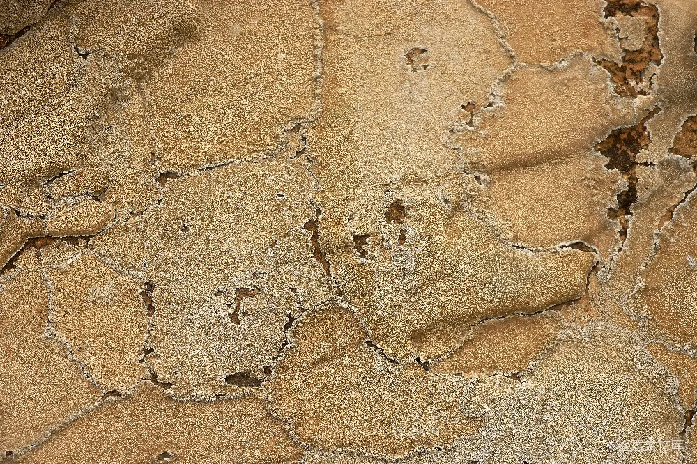 高清摄影 自然纹理 干旱 地表 背景 设计素材 干裂的大地纹理