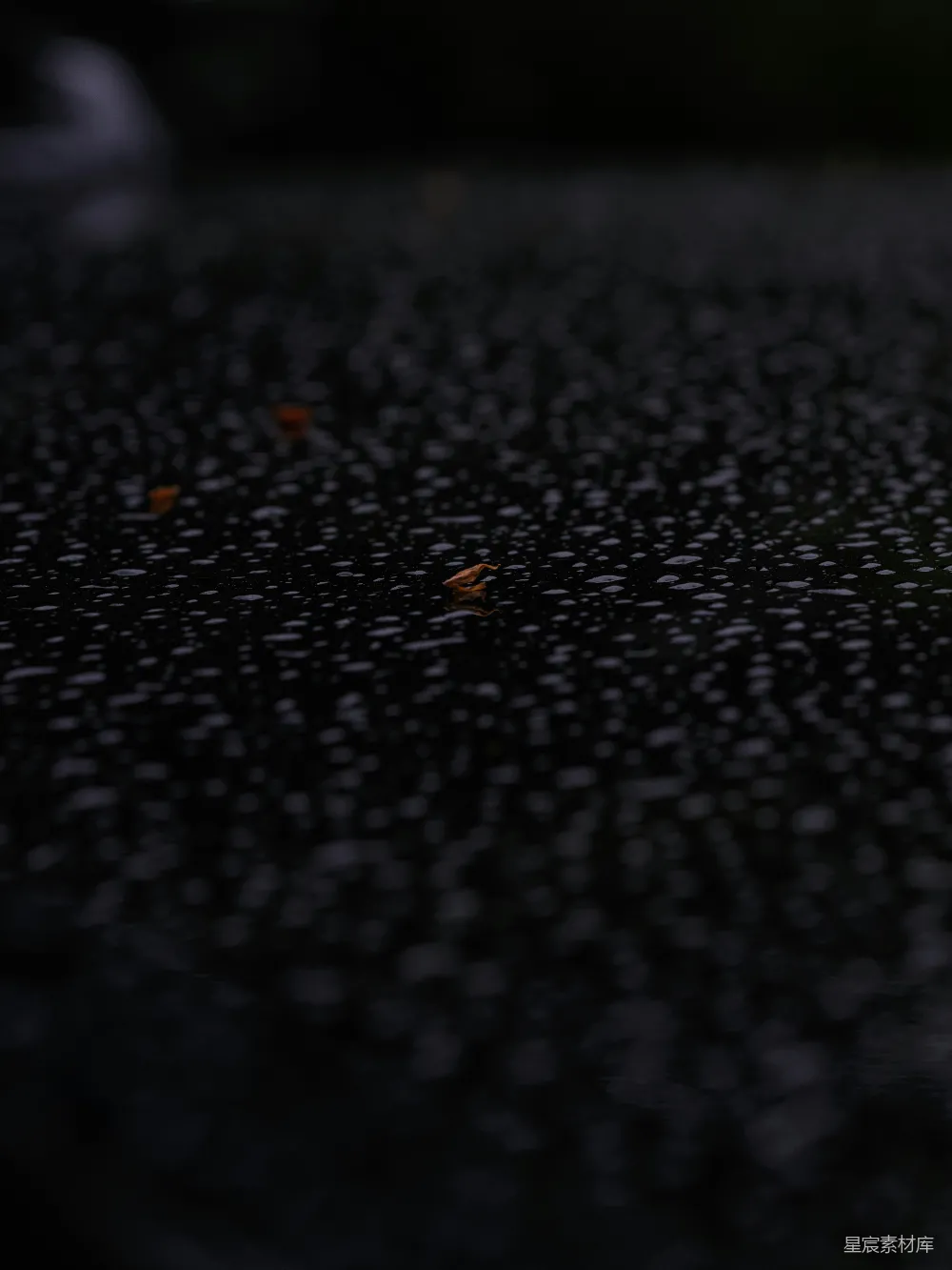 高清摄影 雨后 水面 静谧 深色 自然 雨后静谧的水面