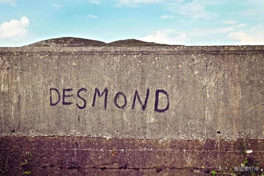 高清摄影 DESMOND 混凝土墙 户外 艺术感 自然 DESMOND刻字的混凝土墙
