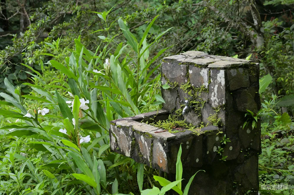 高清摄影 自然 古泉 乡村 风景 户外 自然中的古泉