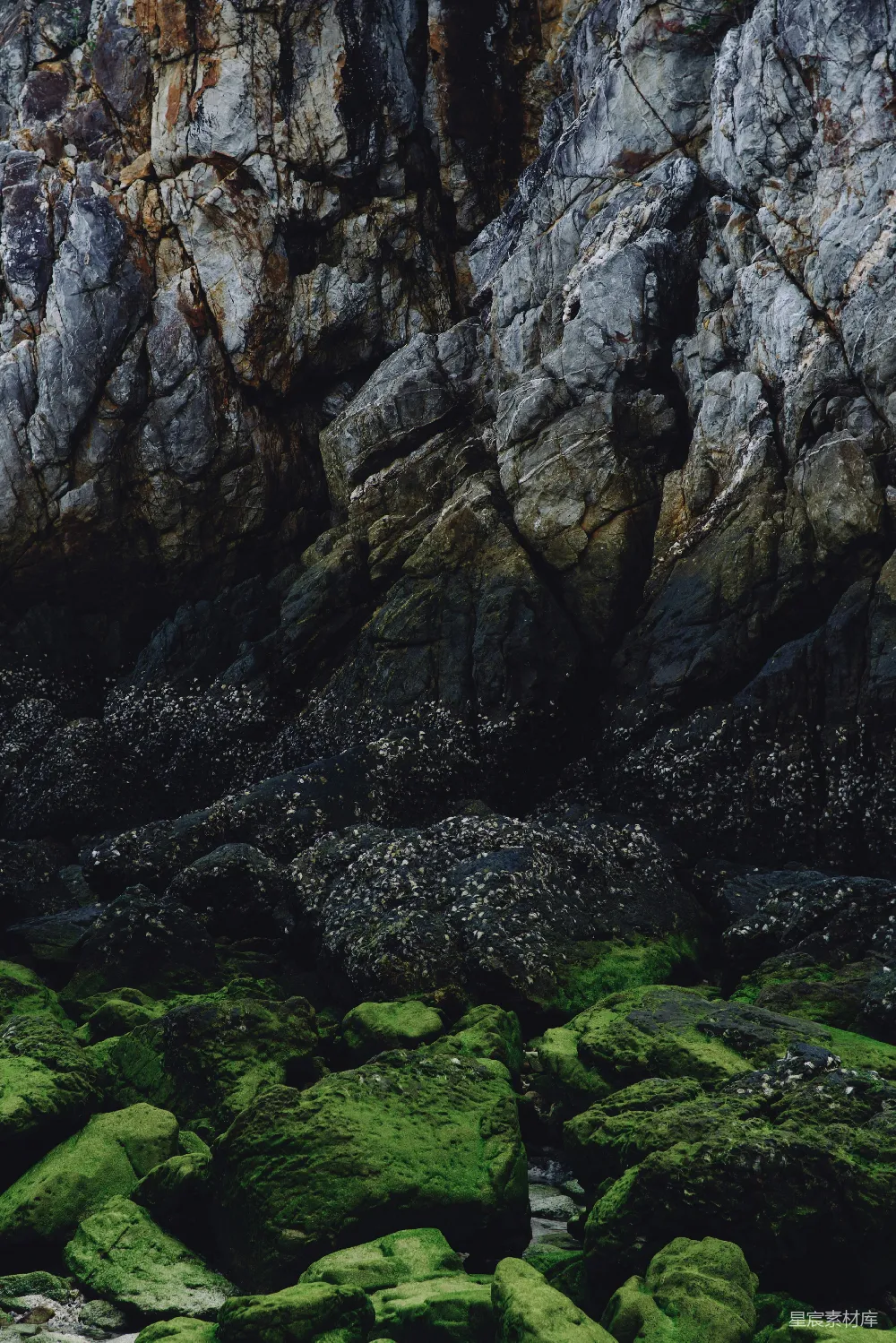 高清摄影 自然景观 海岸 苔藓 岩石 风景 苔藓覆盖的岩石海岸