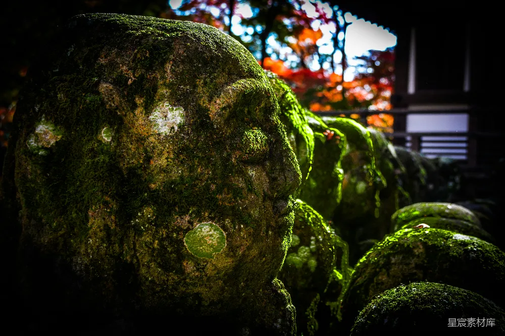 高清摄影 自然 苔藓 静谧 户外 摄影 青苔覆盖的石块