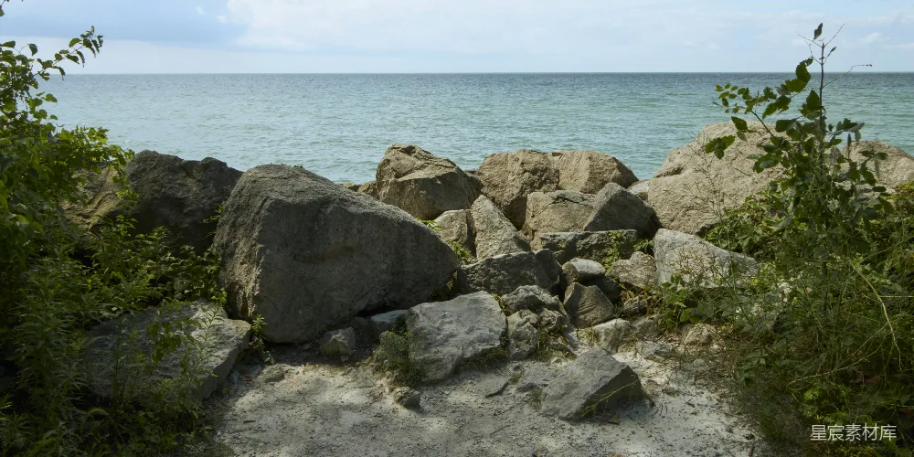 高清摄影 海滩 岩石 植物 自然景观 户外 海边的岩石与植物