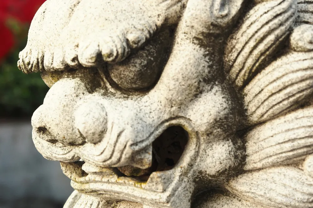 高清摄影 石雕 狮子 雕刻 传统 艺术 石雕狮子特写