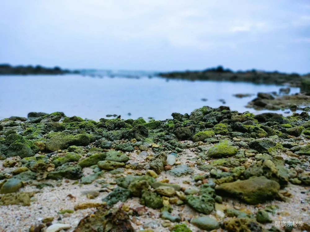高清摄影 海滩 自然 宁静 岩石 沙滩 海边的岩石与沙地