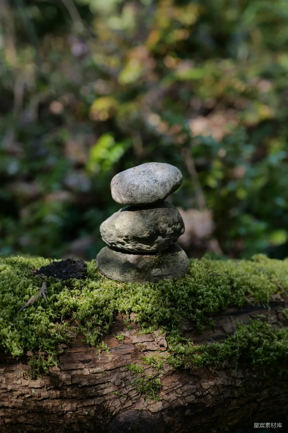 高清摄影 平衡 自然 户外 静谧 和谐 自然平衡：苔藓上的石头堆