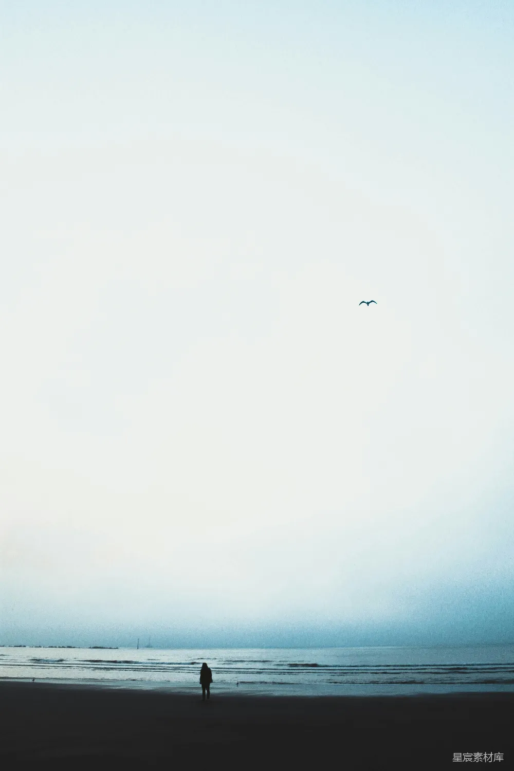 高清摄影 海滩 孤独 清晨 自然 宁静 海边独行者