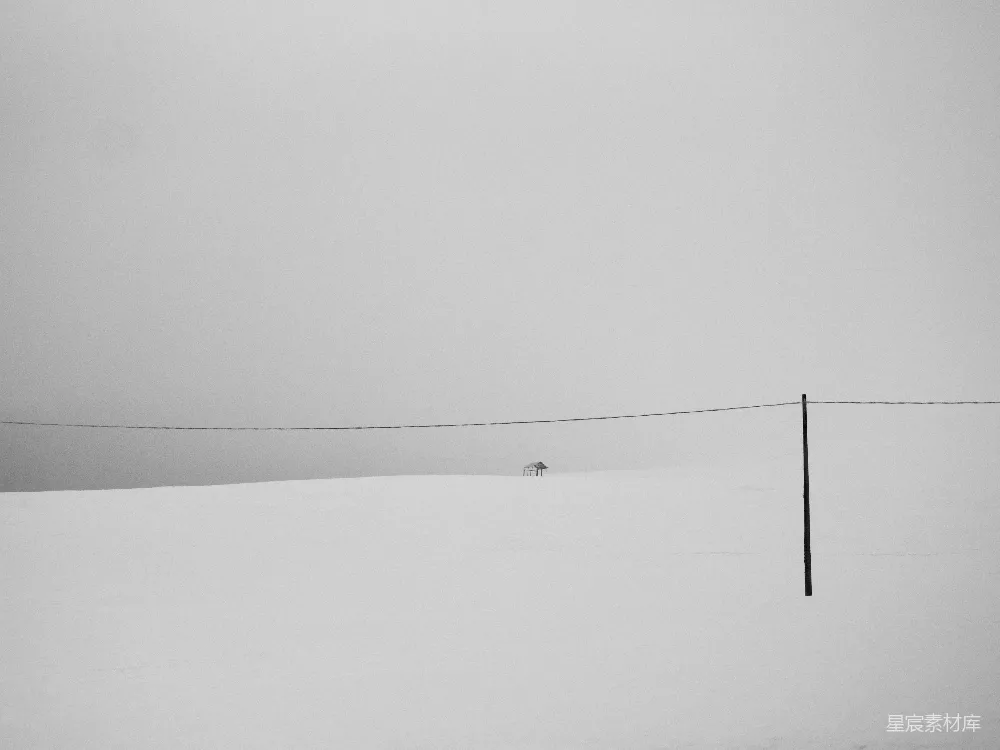高清摄影 雪景 孤独 黑白 冬日 极简 雪中的孤独