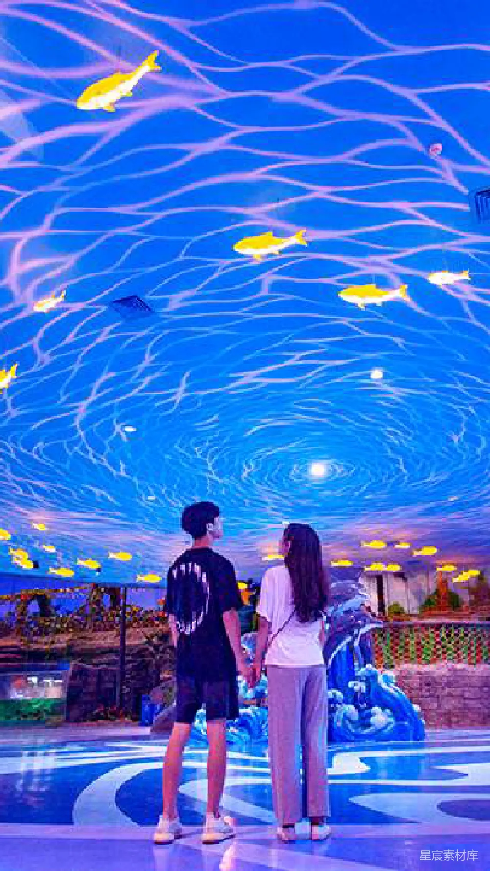 高清摄影 情侣 水族馆 梦幻 浪漫 海底 海底世界：情侣共赏梦幻水族馆