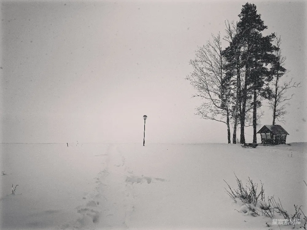 高清摄影 雪景 冬季 自然 静谧 户外 冬日雪景中的小径与灯柱