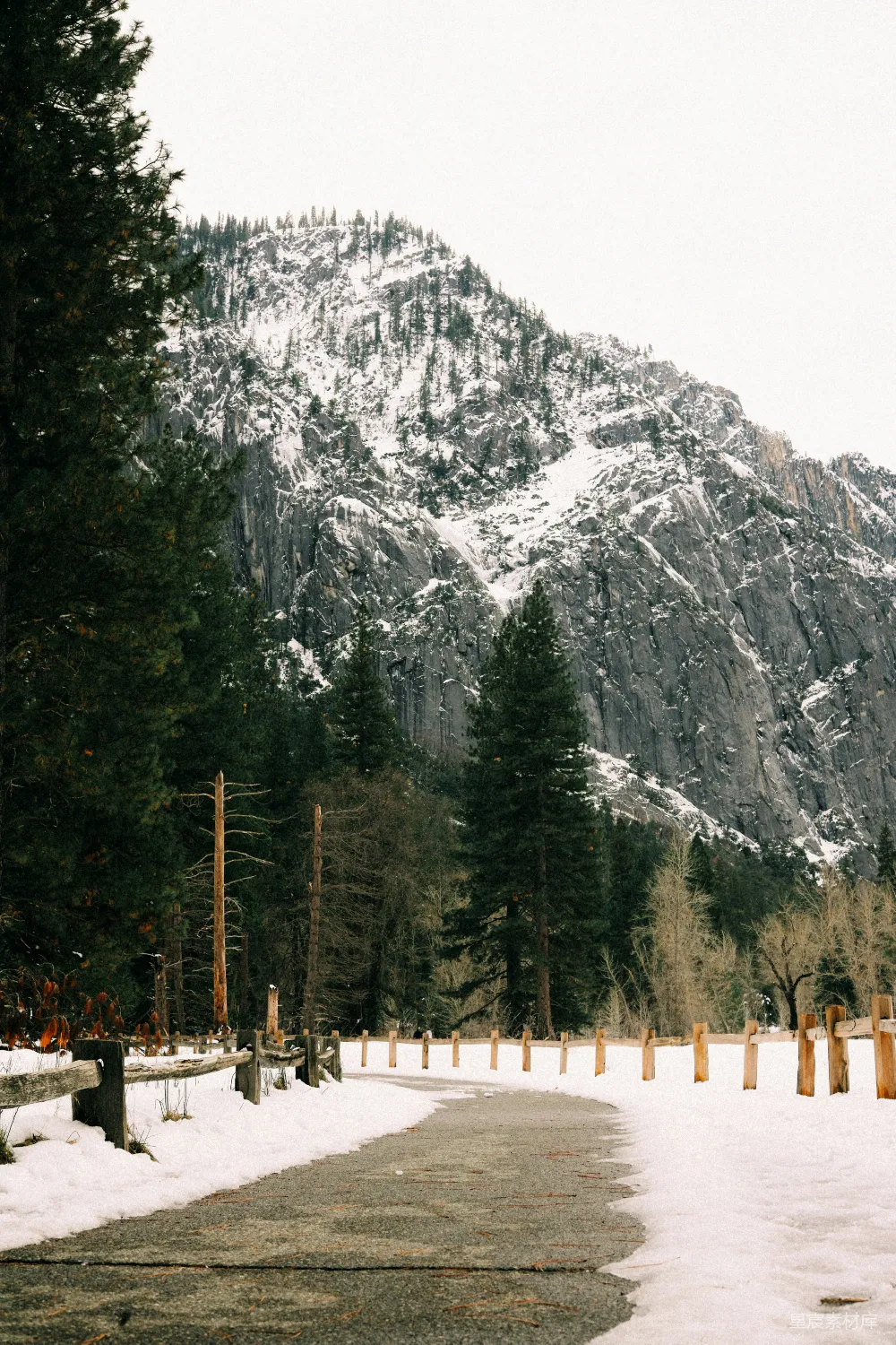 高清摄影 雪景 山脉 森林 冬季 自然 雪中的山间小径