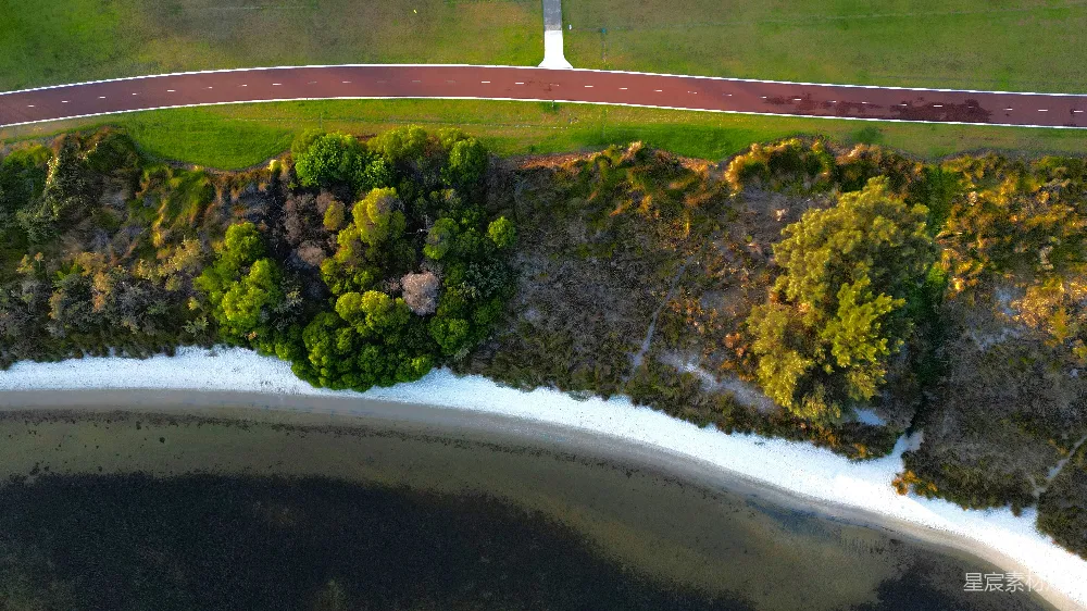 高清摄影 海岸线 航拍 绿色植物 道路 自然风光 海岸边的绿色植被与道路