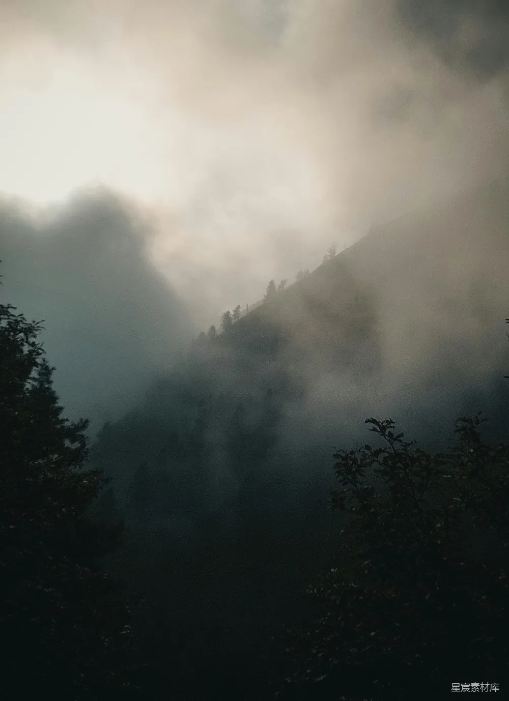 高清摄影 自然风光 神秘 宁静 山林 清晨 雾中的森林