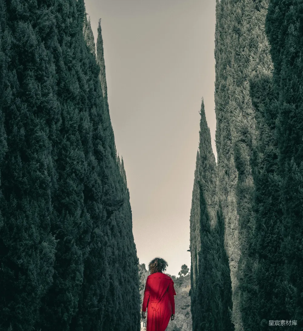 高清摄影 自然 人像 风景 对比 宁静 红衣女子与苍翠森林