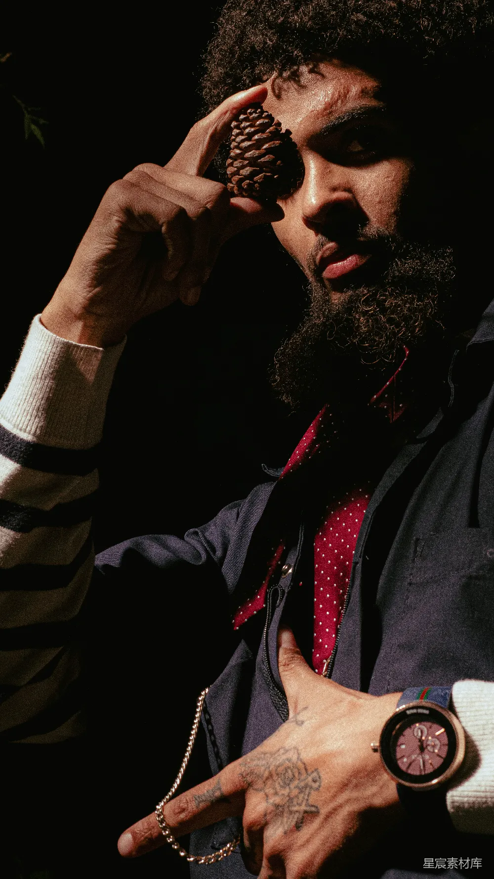 高清摄影 自然元素 时尚摄影 艺术风格 创意构图 户外写真 自然中的艺术与时尚