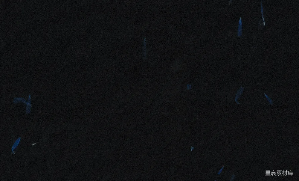 高清摄影 夜空 神秘 蓝色 光点 抽象 夜空中神秘的蓝色光点