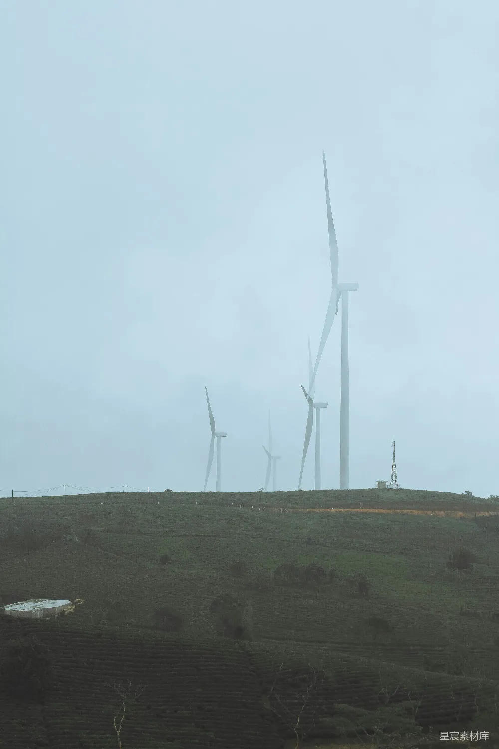 高清摄影 风车 茶园 雾景 环保 自然 雾中风车与茶园