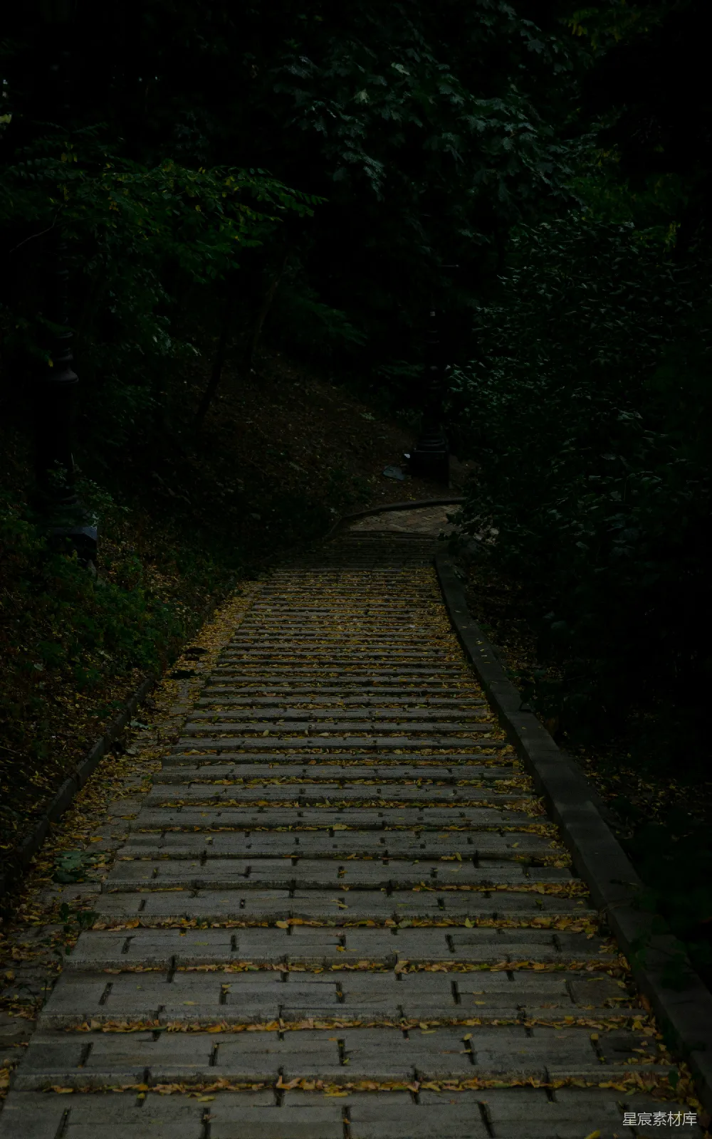 高清摄影 小径 树木 自然 幽静 深秋 幽暗的小径