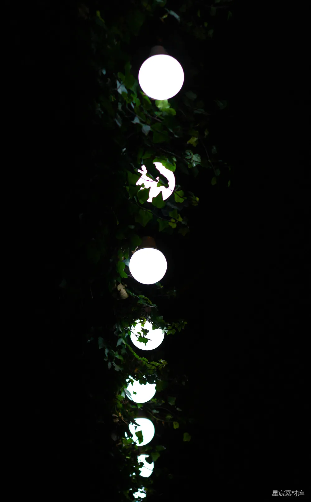 高清摄影 夜晚 灯光 植物 自然 城市 夜晚的灯光与树叶