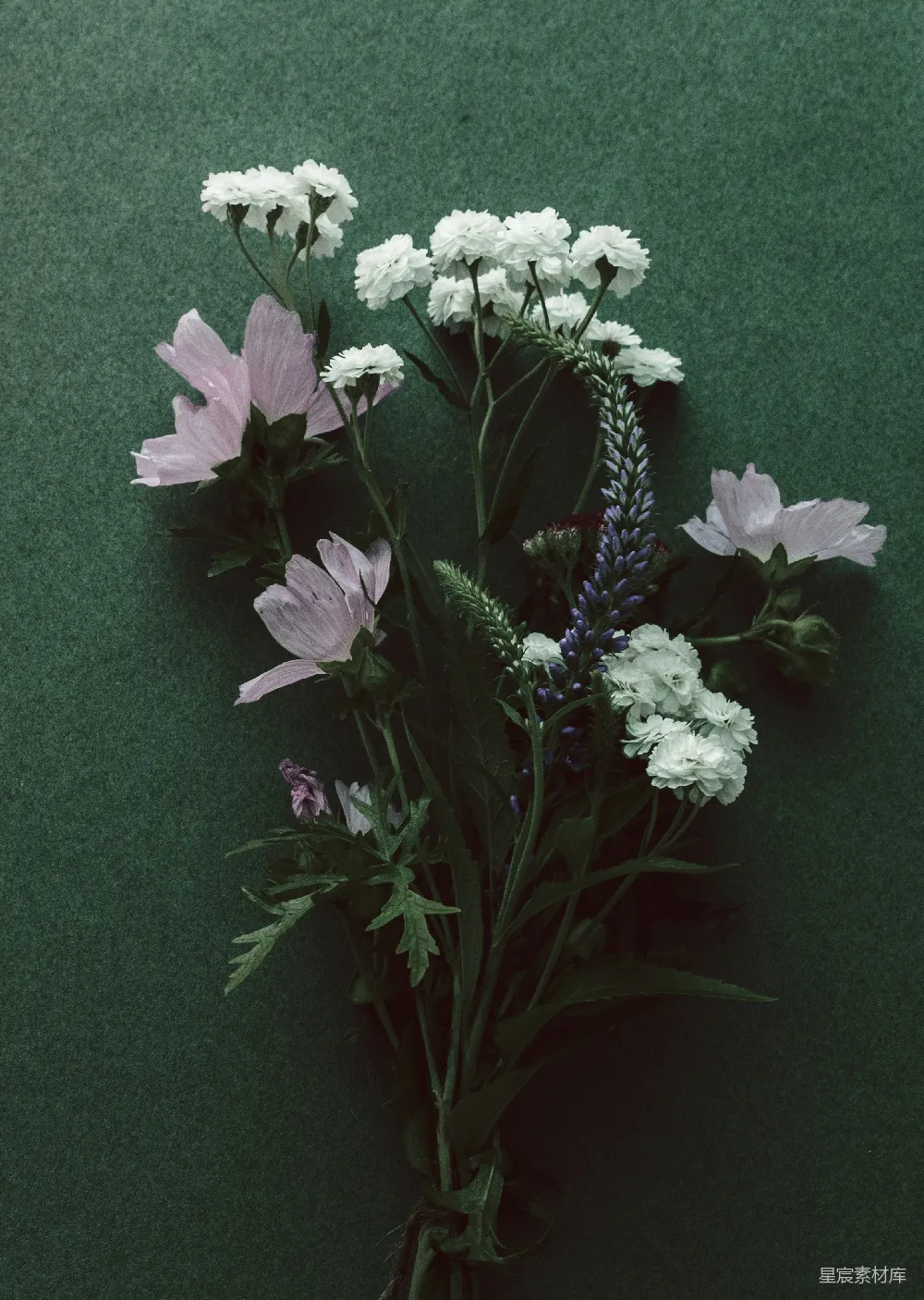 高清摄影 自然 静物 花卉 绿色背景 简约 静谧的花束