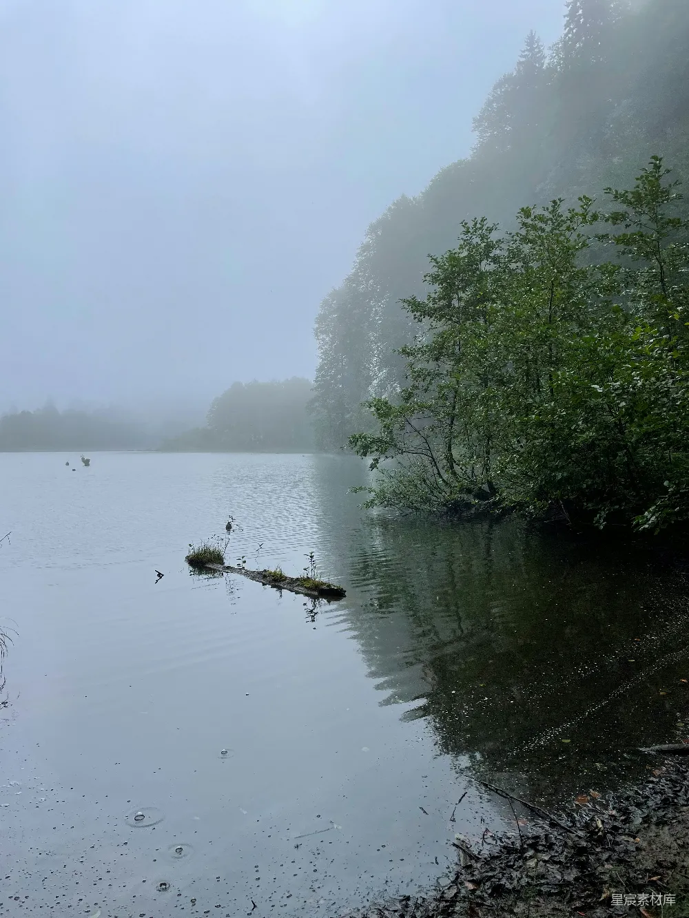 高清摄影 湖泊 雨景 宁静 自然 雨雾 雨中静谧的湖泊