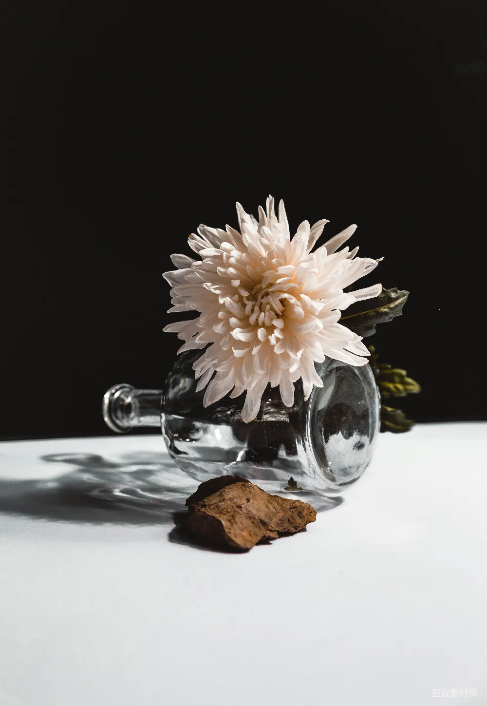 高清摄影 静物摄影 自然 花瓶 艺术 静谧 花瓶中的白色花朵与岩石