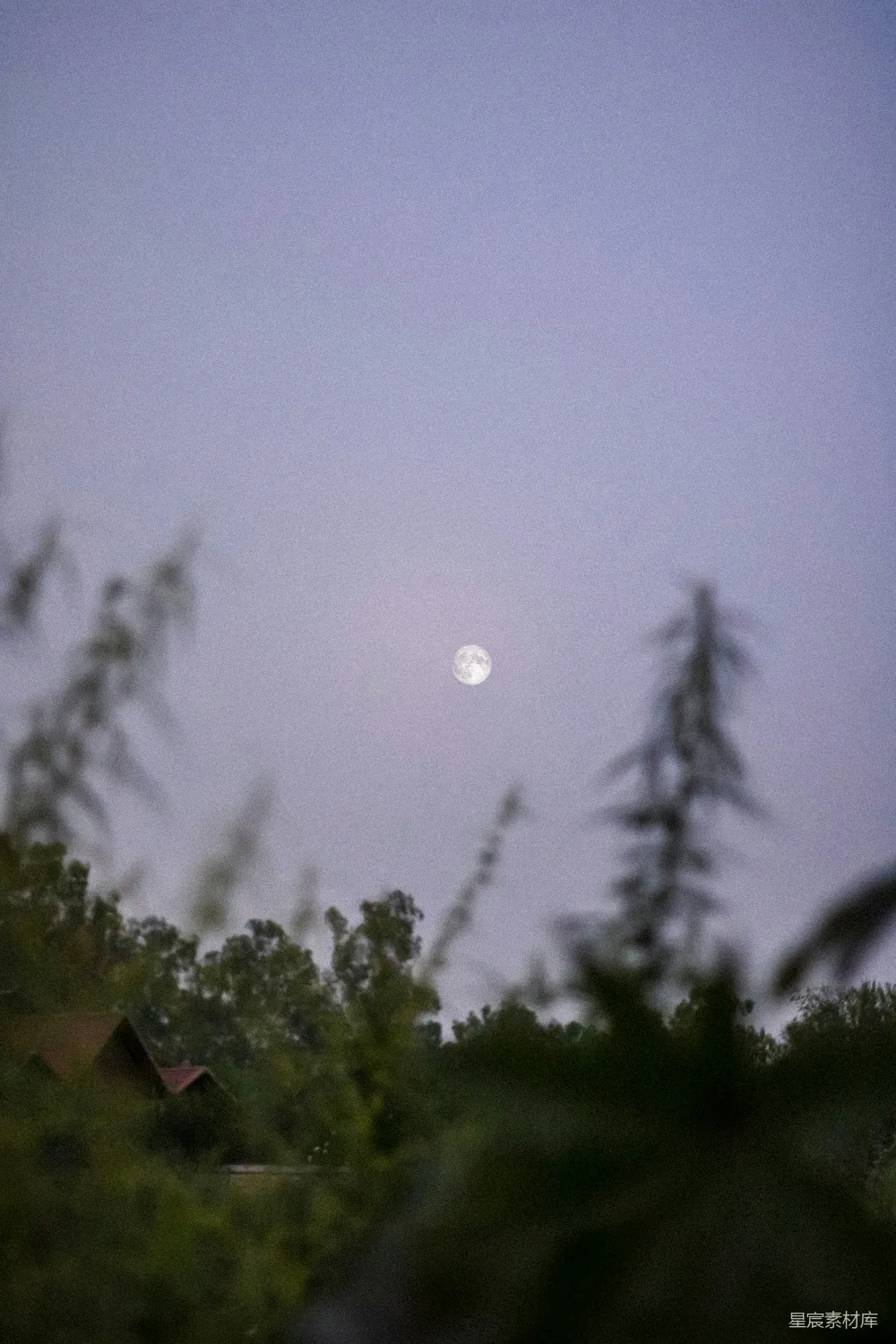 高清摄影 月亮 夜晚 自然 宁静 风景 夜幕下的月亮