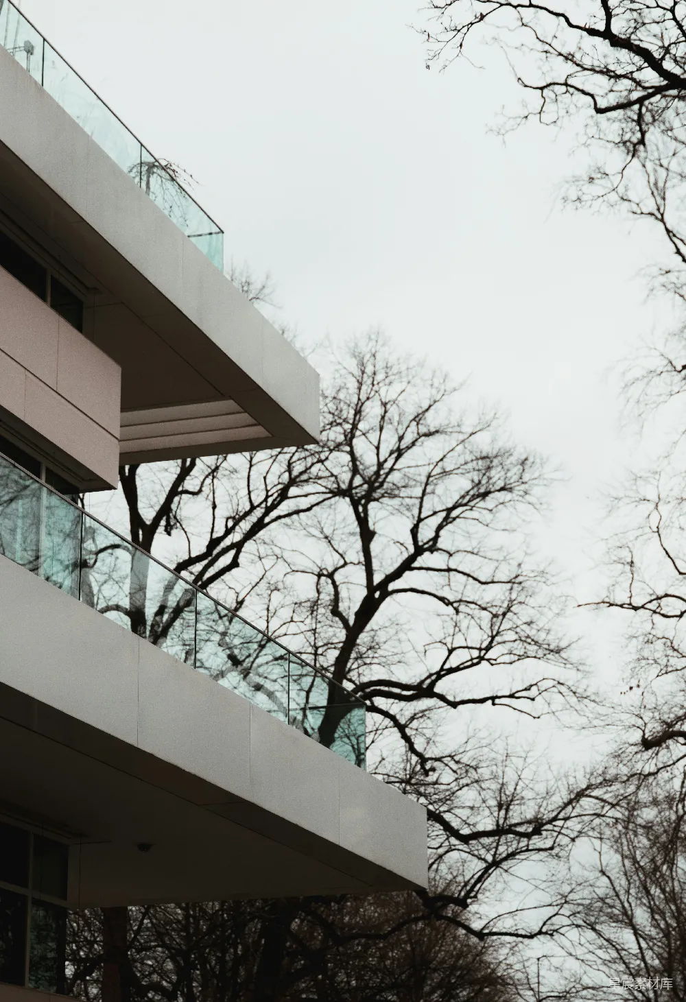 高清摄影 现代建筑 自然景观 都市与自然 城市风景 建筑美学 现代建筑与枯树的和谐共存