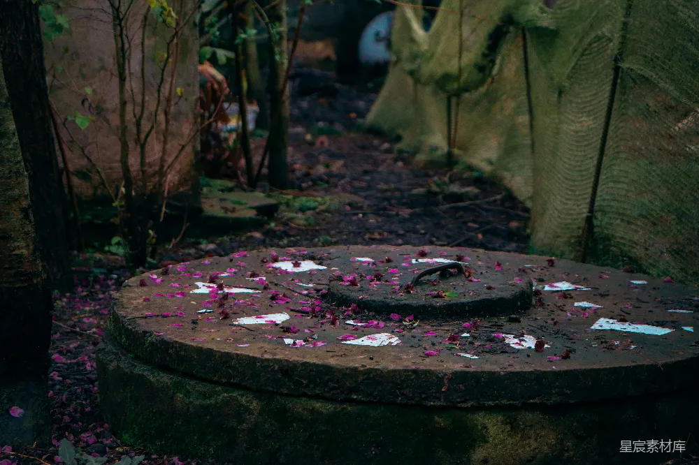 高清摄影 废弃石磨 落叶 自然环境 复古风格 荒废场景 废弃的石磨与落叶