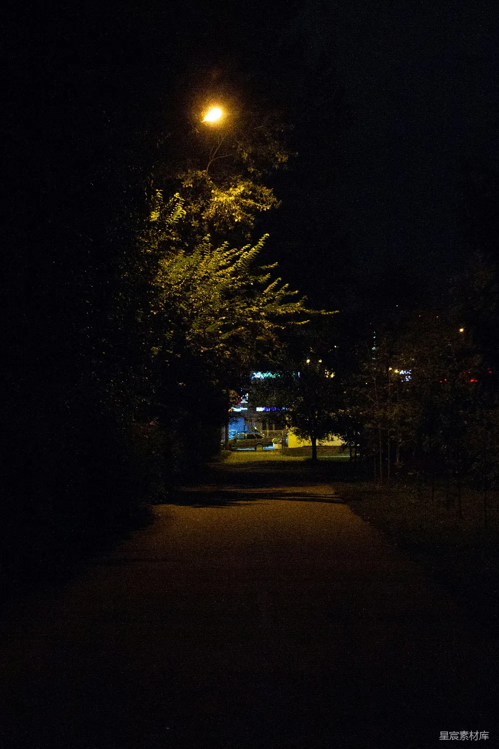 高清摄影 夜晚 街景 路灯 宁静 城市 夜色中的街灯与小径