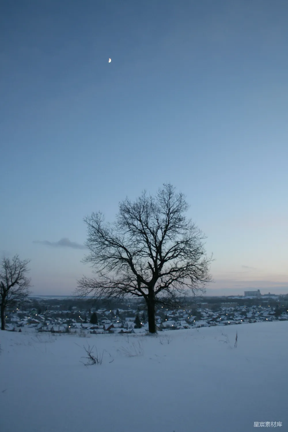 高清摄影 冬季 黄昏 雪景 自然 宁静 冬日黄昏下的孤树