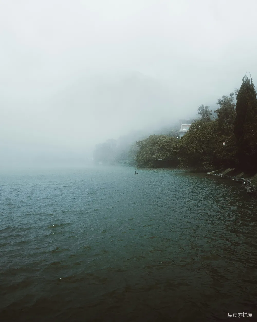 高清摄影 湖景 雾气 自然 宁静 风景 雾蒙蒙的湖畔
