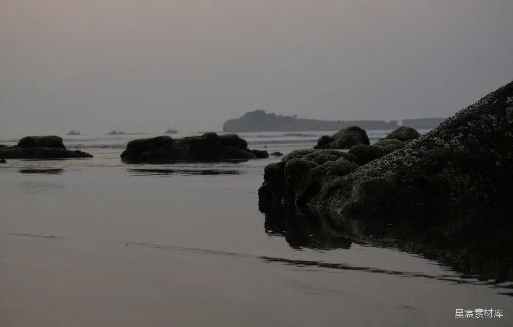 高清摄影 海滩 岩石 清晨 宁静 自然 晨雾中的海岸线
