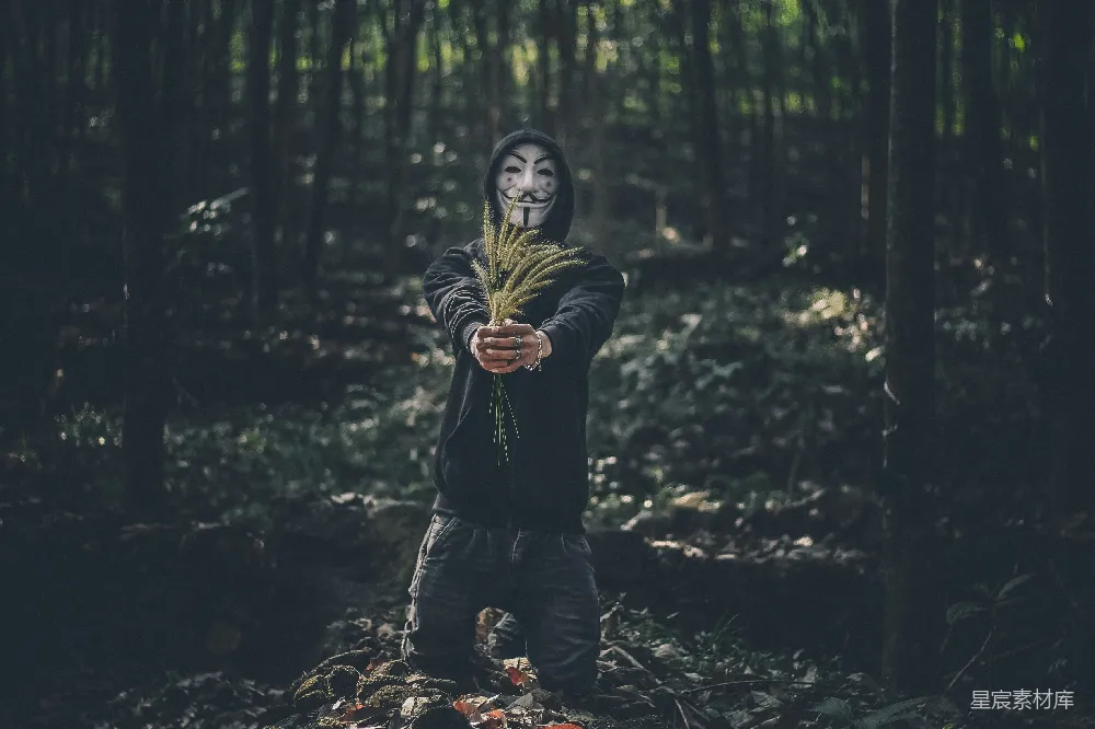 高清摄影 森林 匿名 神秘 自然 艺术 面具下的森林使者