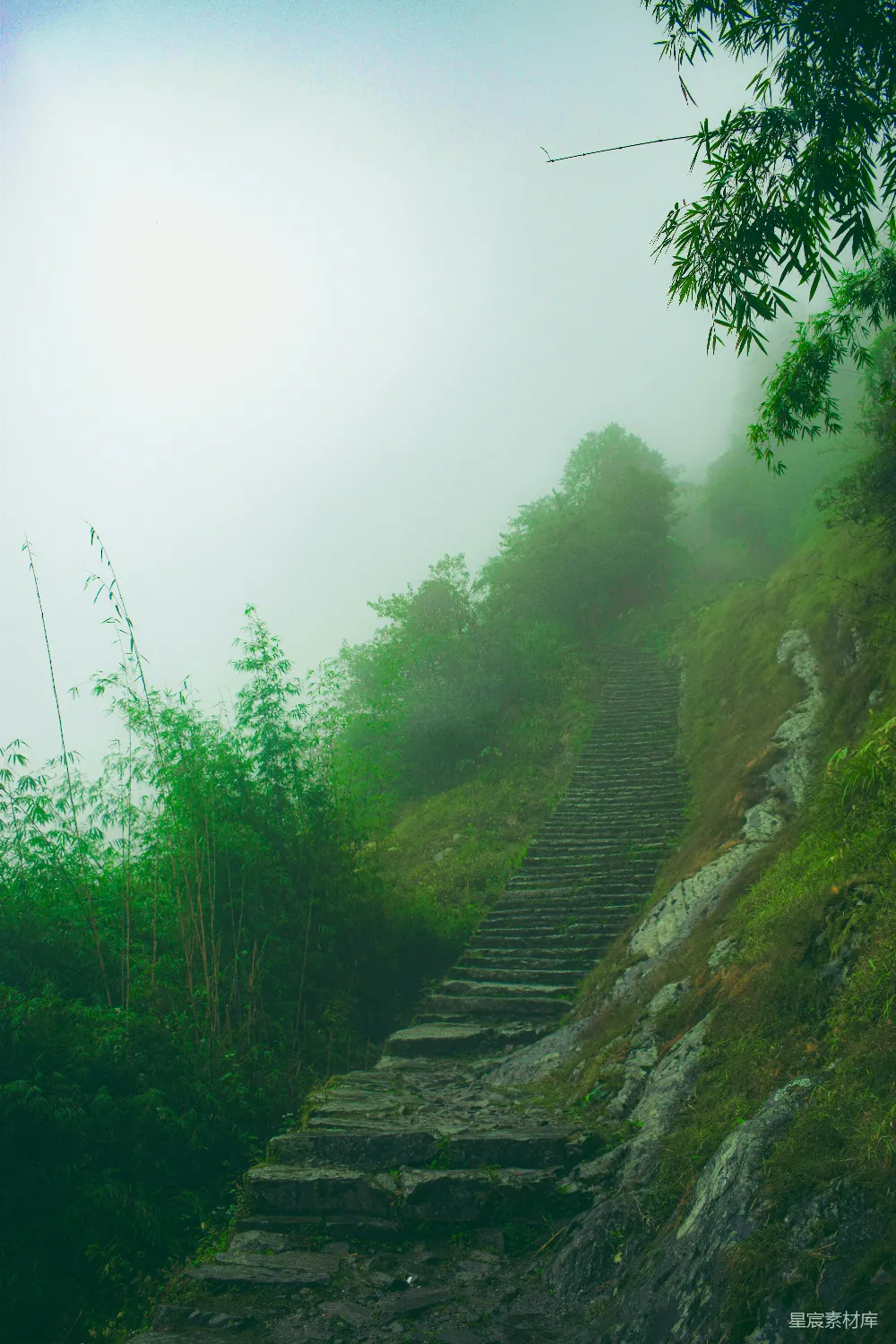 高清摄影 自然风光 石阶 雾气 山林 徒步 雾中石阶
