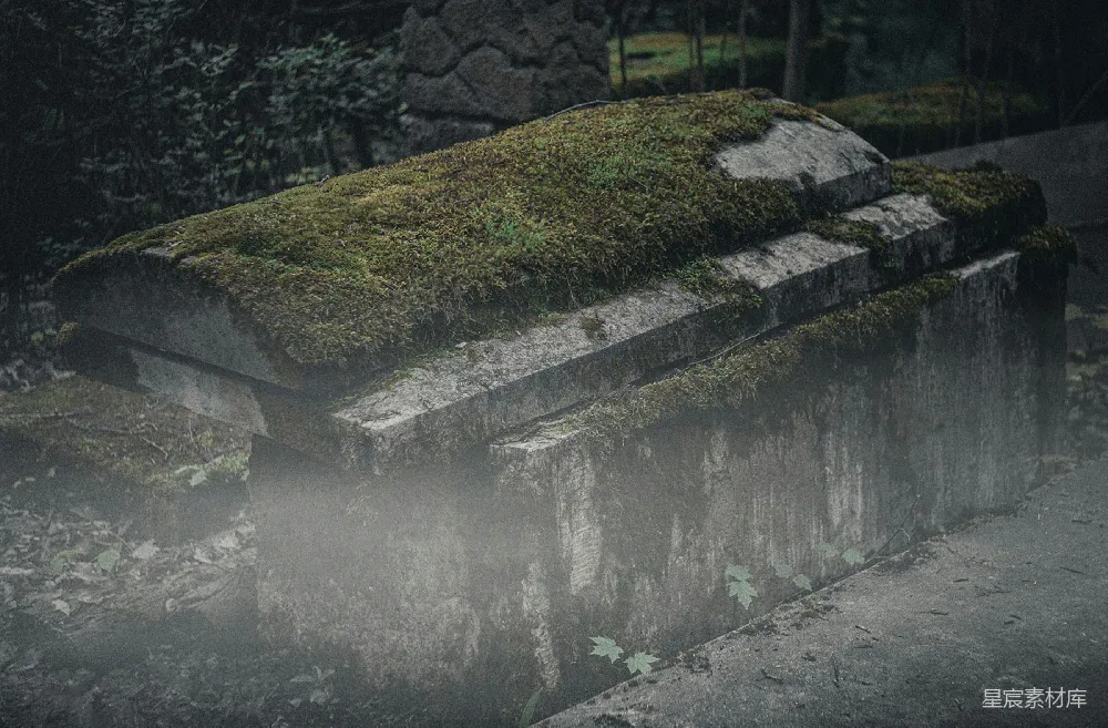高清摄影 墓地 废弃 自然 阴郁 荒凉 荒废的墓地