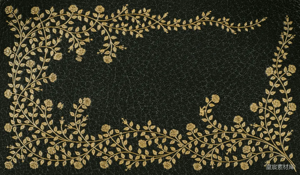 高清摄影 黑色皮革 金色花卉 边框设计 复古风格 装饰背景 黑色皮革上的金色花卉边框