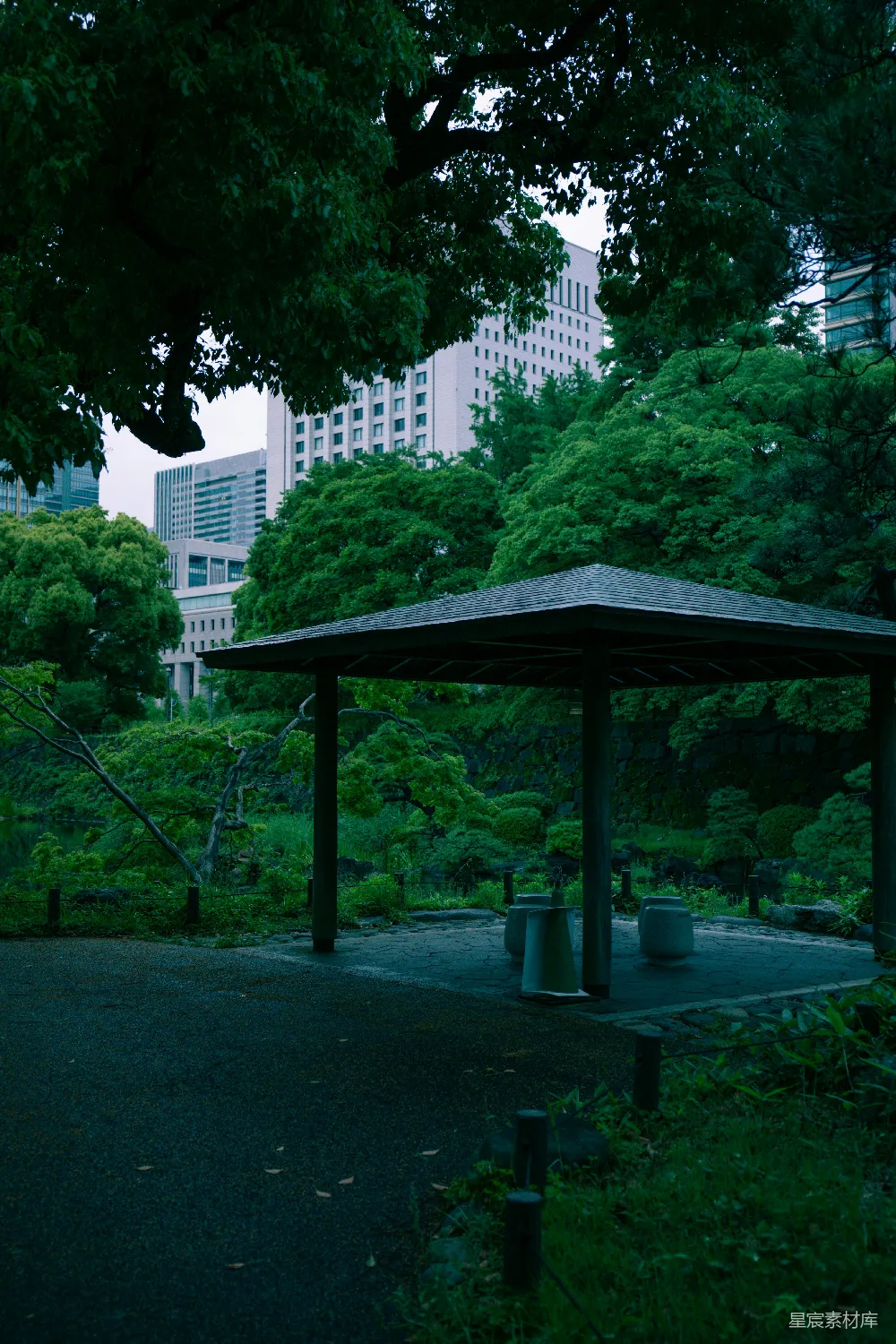 高清摄影 花园 都市 宁静 绿植 休闲 都市中的宁静花园