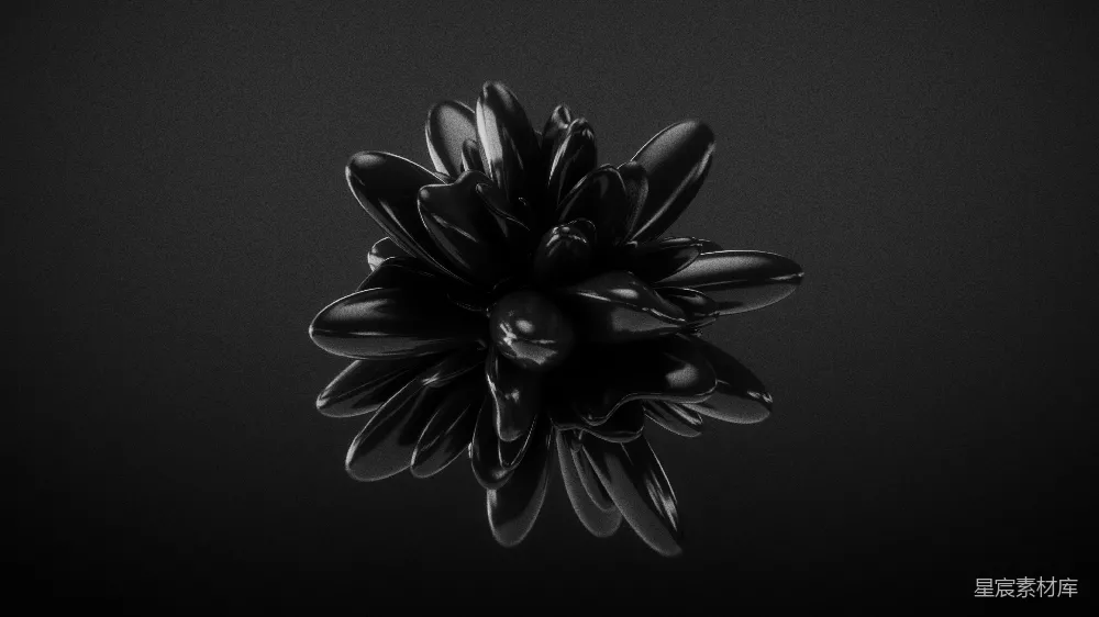 高清摄影 抽象艺术 黑色 花瓣 现代风格 艺术设计 黑色抽象花瓣