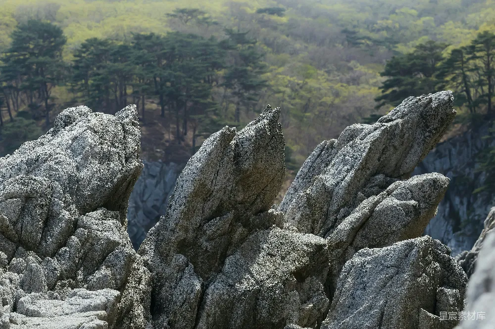 高清摄影 山岩 自然风光 奇峰 森林 户外 奇峰叠翠，自然之美的山岩群
