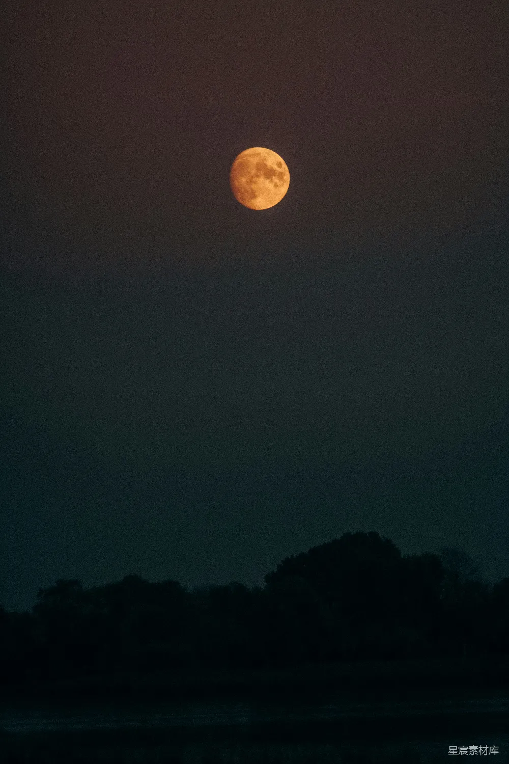 高清摄影 夜景 自然风光 满月 宁静 深邃 夜空中的满月