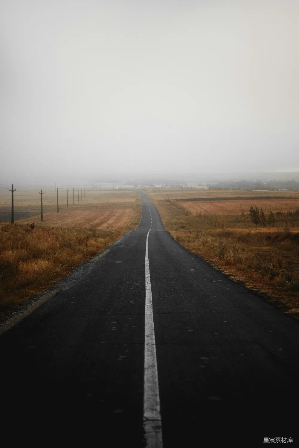 高清摄影 乡间小路 雾 孤独 风景 旅行 雾中孤独的乡间小路