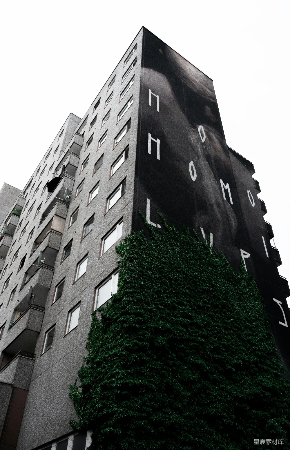 高清摄影 建筑 城市景观 绿色植物 艺术海报 户外场景 城市中的自然与艺术