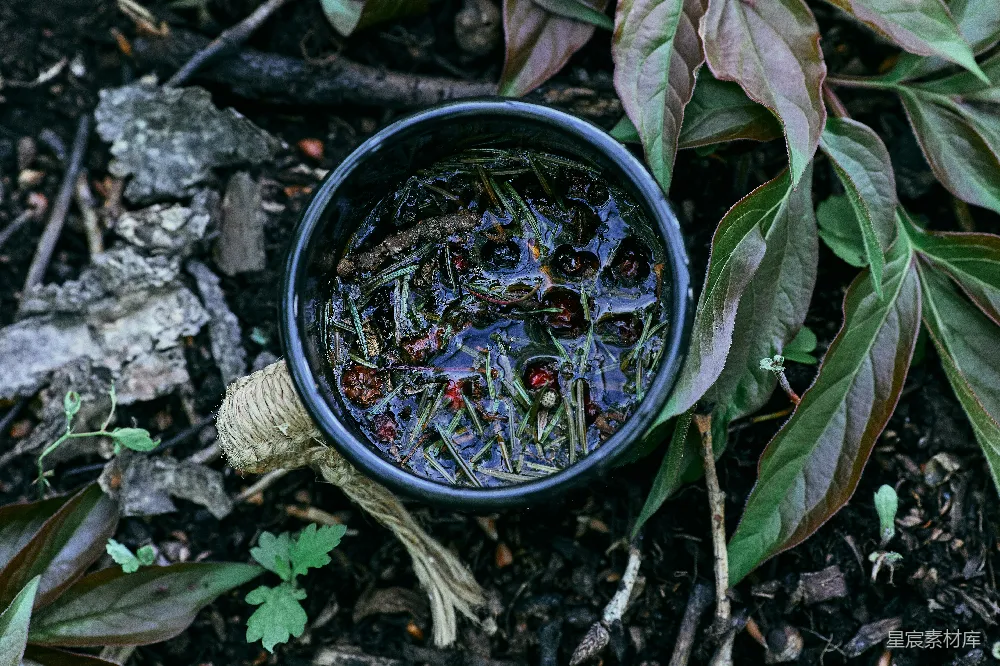 高清摄影 自然 手工 茶杯 户外 植物 自然元素与手工茶杯的和谐