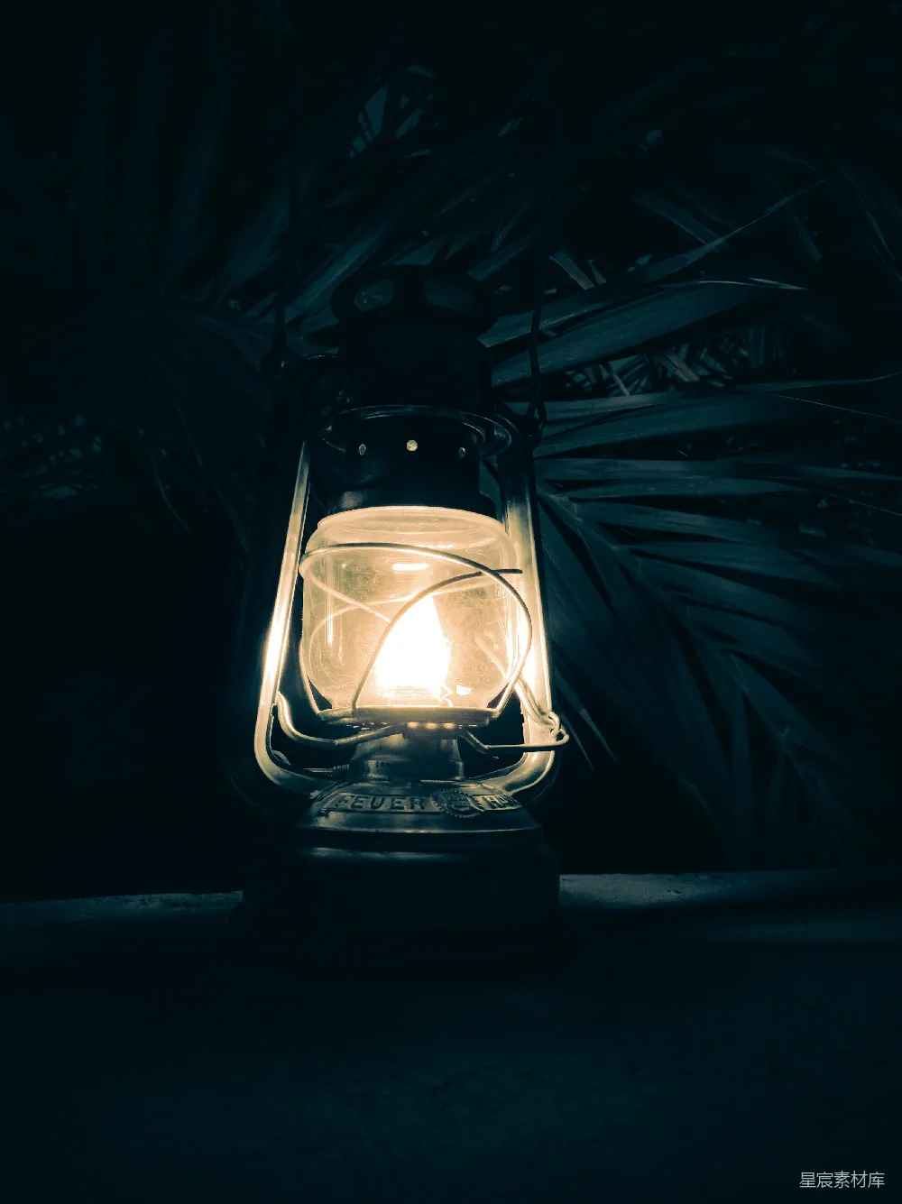 高清摄影 复古灯 夜晚 植物 照明 怀旧 夜幕下的怀旧灯塔
