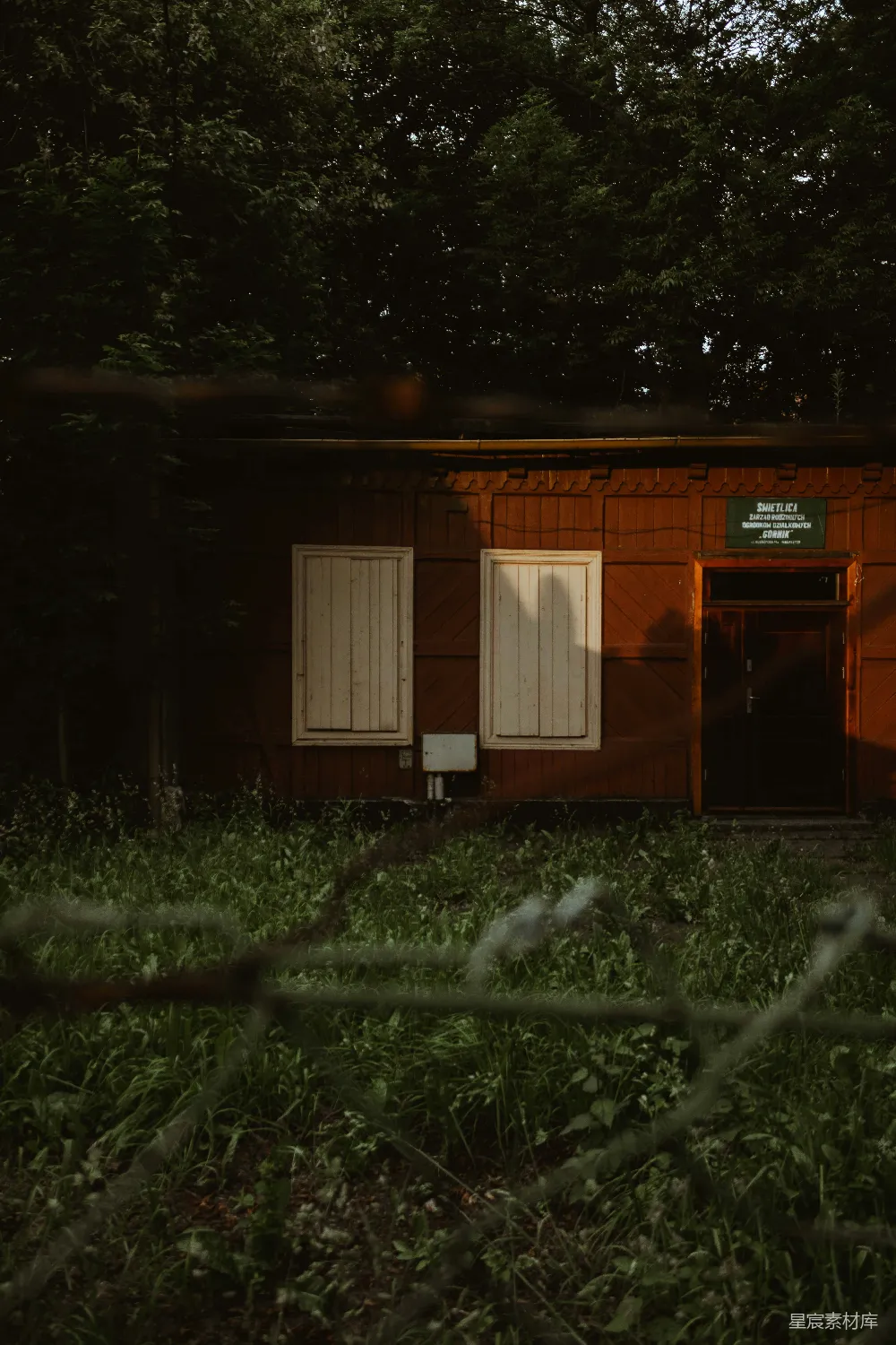 高清摄影 废弃木屋 森林 自然 怀旧 宁静 废弃木屋与林间光影