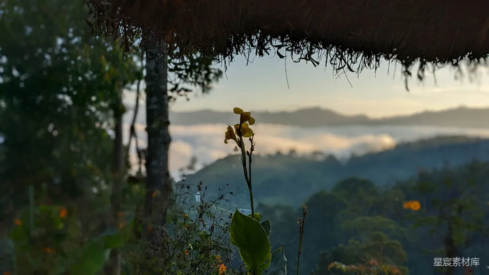 高清摄影 自然风光 宁静 晨雾 山景 田园 晨雾中的自然与宁静