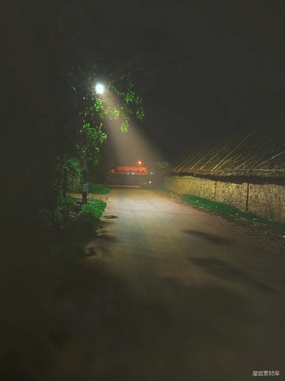 高清摄影 乡村 夜晚 路灯 宁静 自然 乡村夜晚的路灯