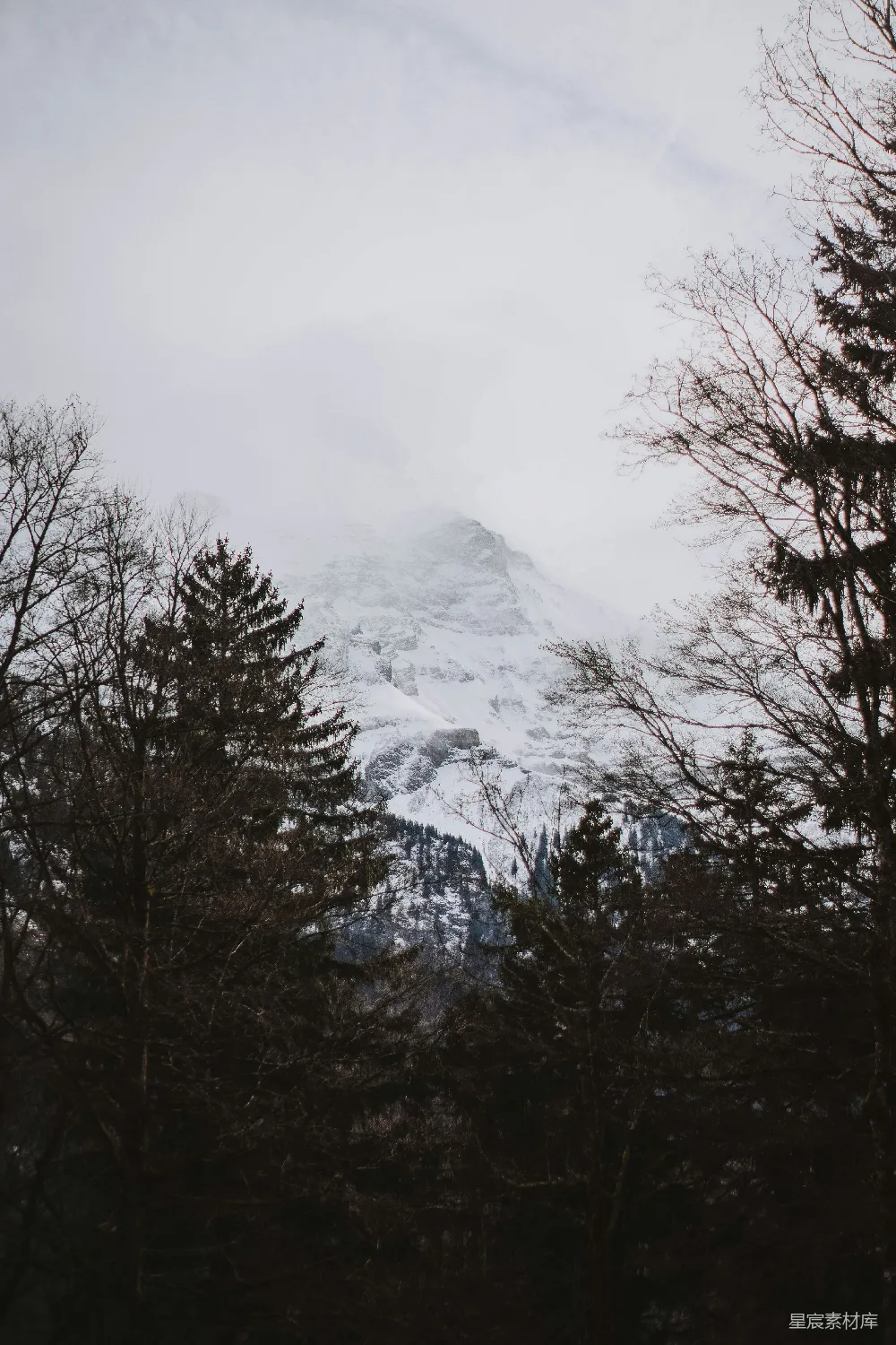 高清摄影 雪景 山脉 森林 自然风光 冬季 冬日山峰与云雾