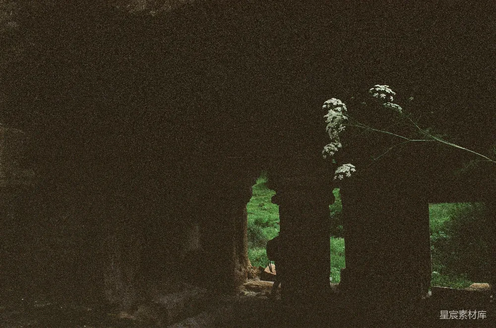 高清摄影 废弃建筑 自然美 怀旧 宁静 乡村 废弃古建筑与野花